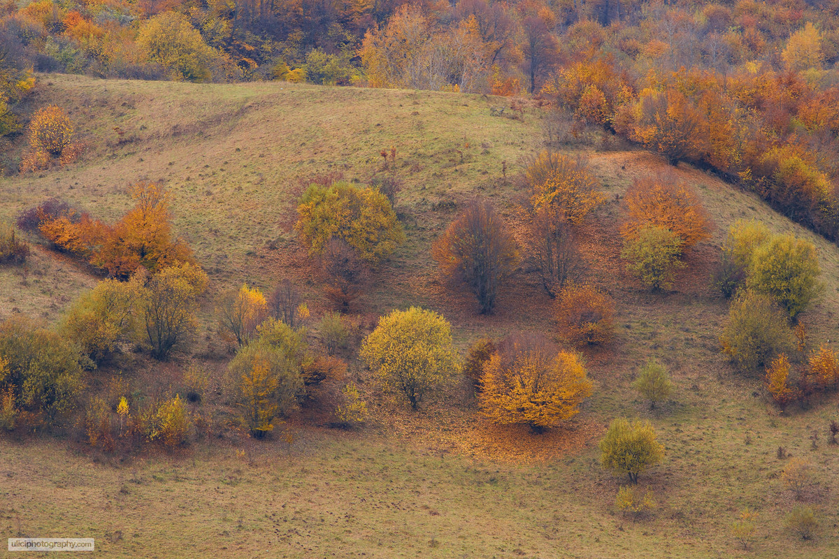 Peisaj de toamna